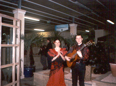 muziek, duo muziek, duo