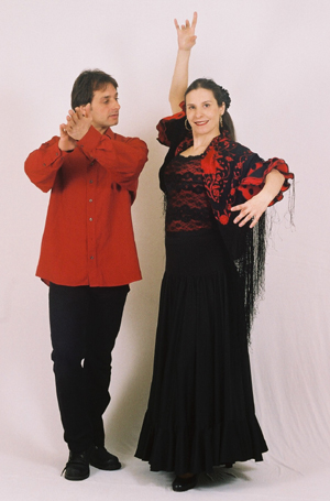 flamenco workshop