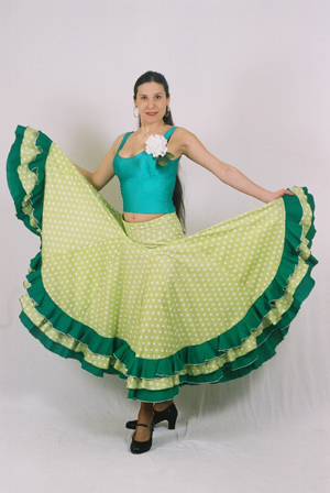flamenco workshop